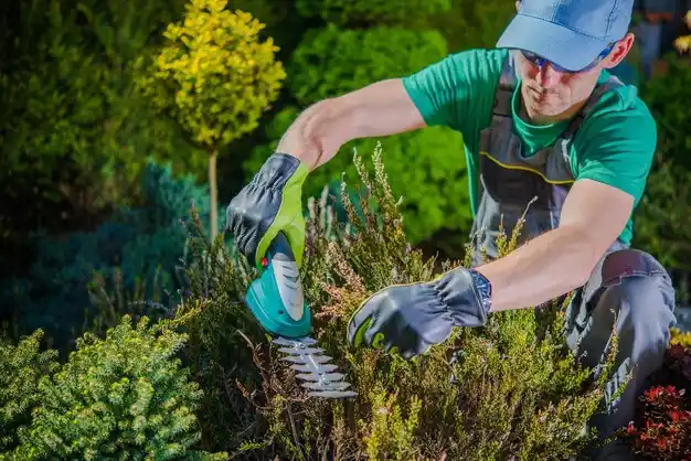 landscaping services Haviland
